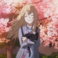 Shigatsu wa kimi no uso|| I meet the girl under the full-bloomed cherry blossoms